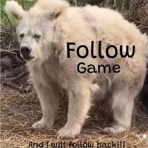 Men's Cream Casual Pullover Hoodie - Unbranded Follow and I will follow back